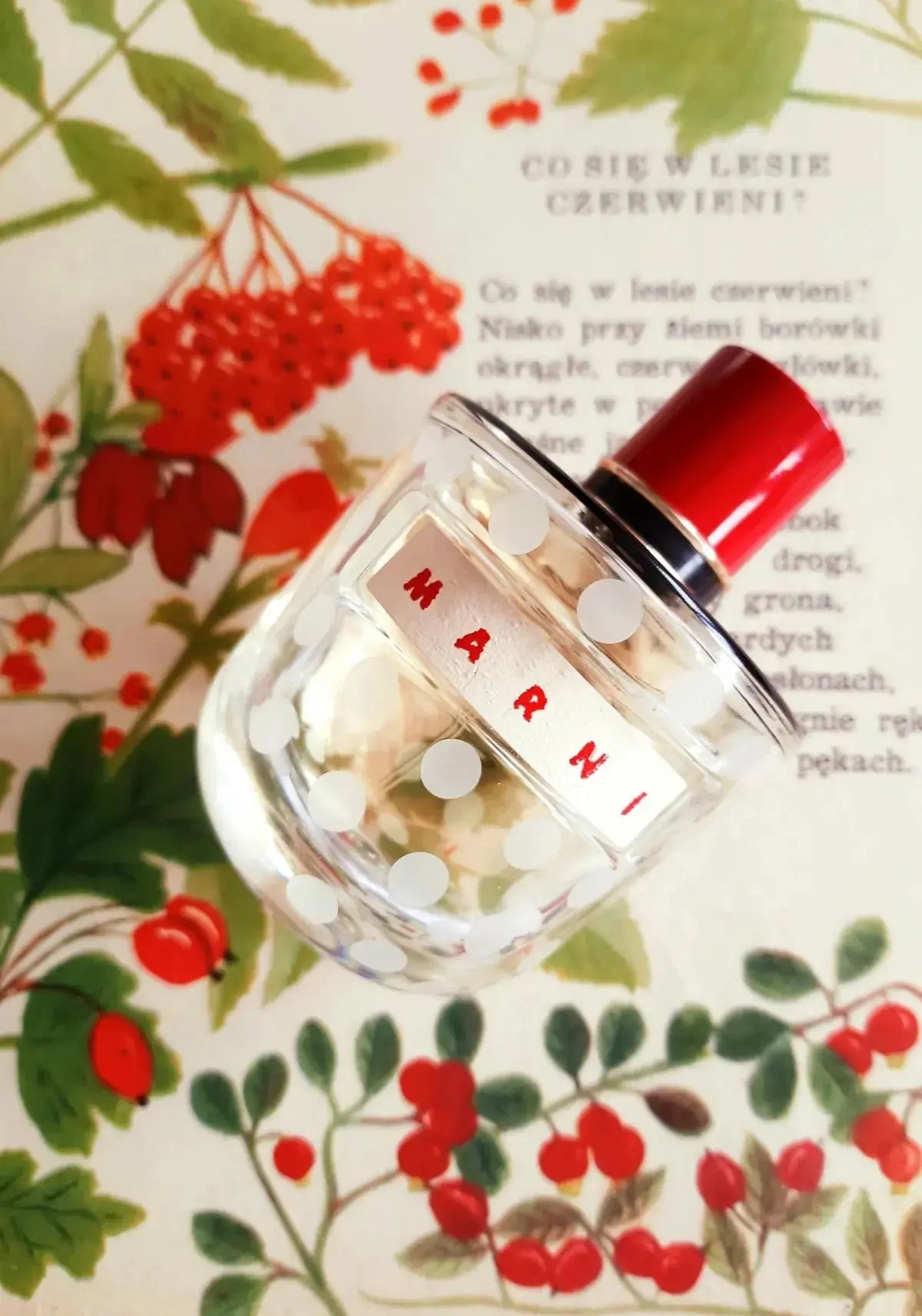 Marni Perfume for Women Eau De Parfum Spray 4.1 oz 120 ml Original Scent -  Marni